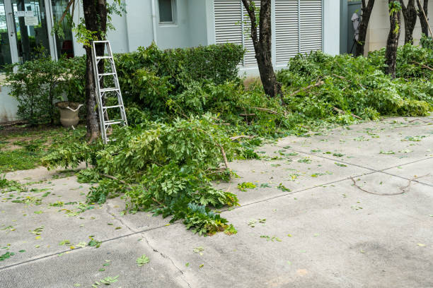 Lawn Edging